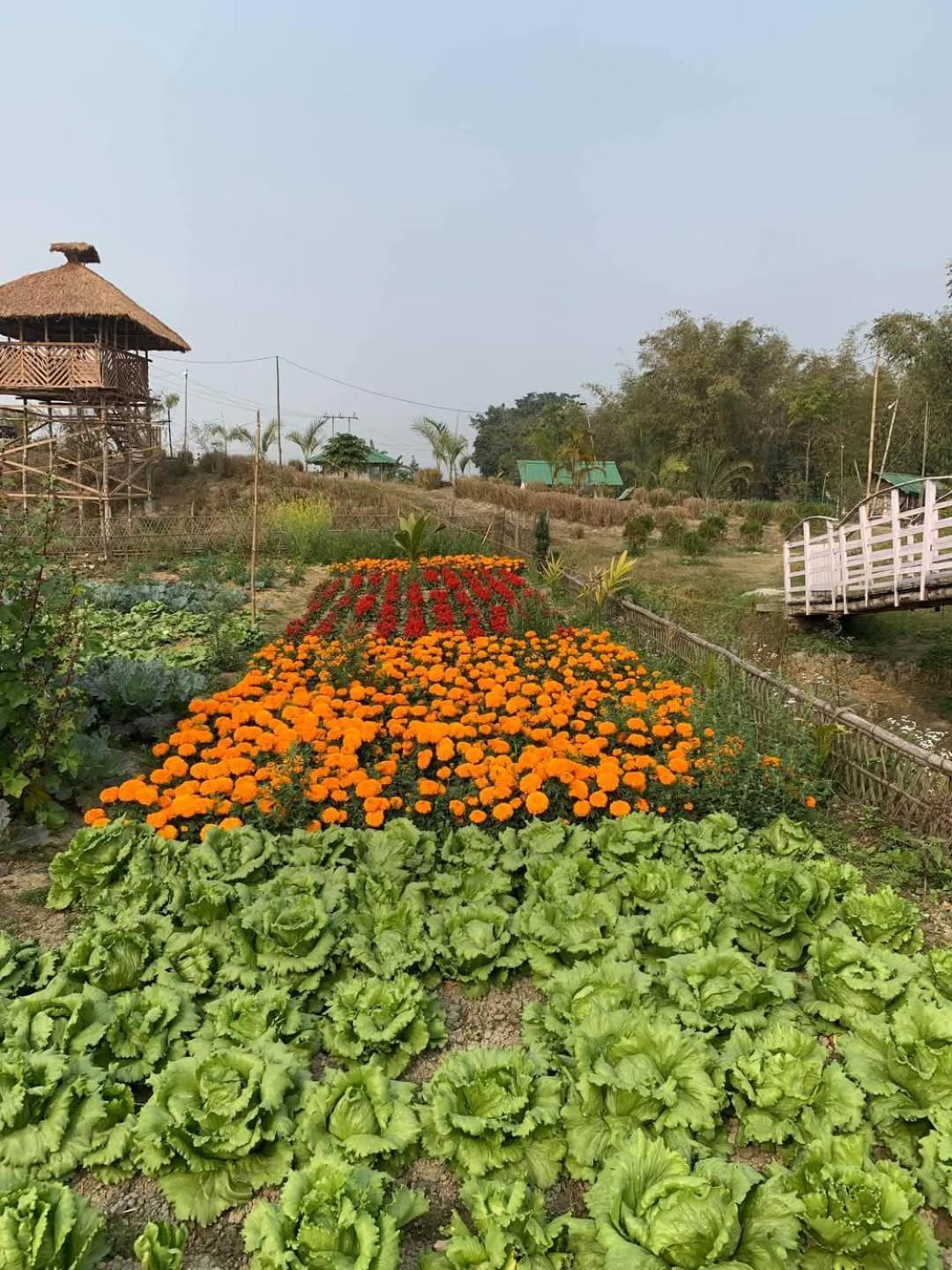 Bogibil Eco Resort New Dibrugarh Esterno foto