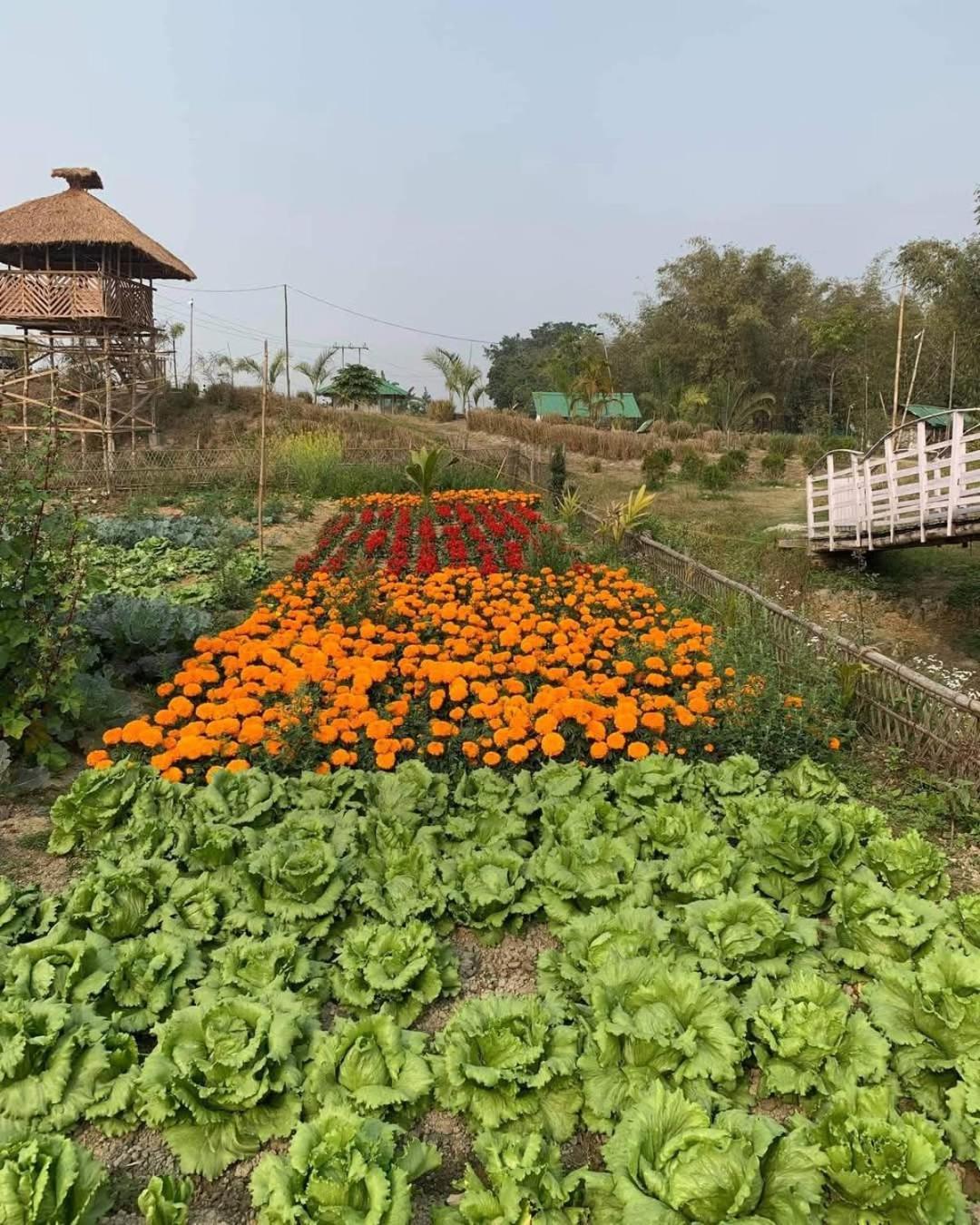 Bogibil Eco Resort New Dibrugarh Esterno foto