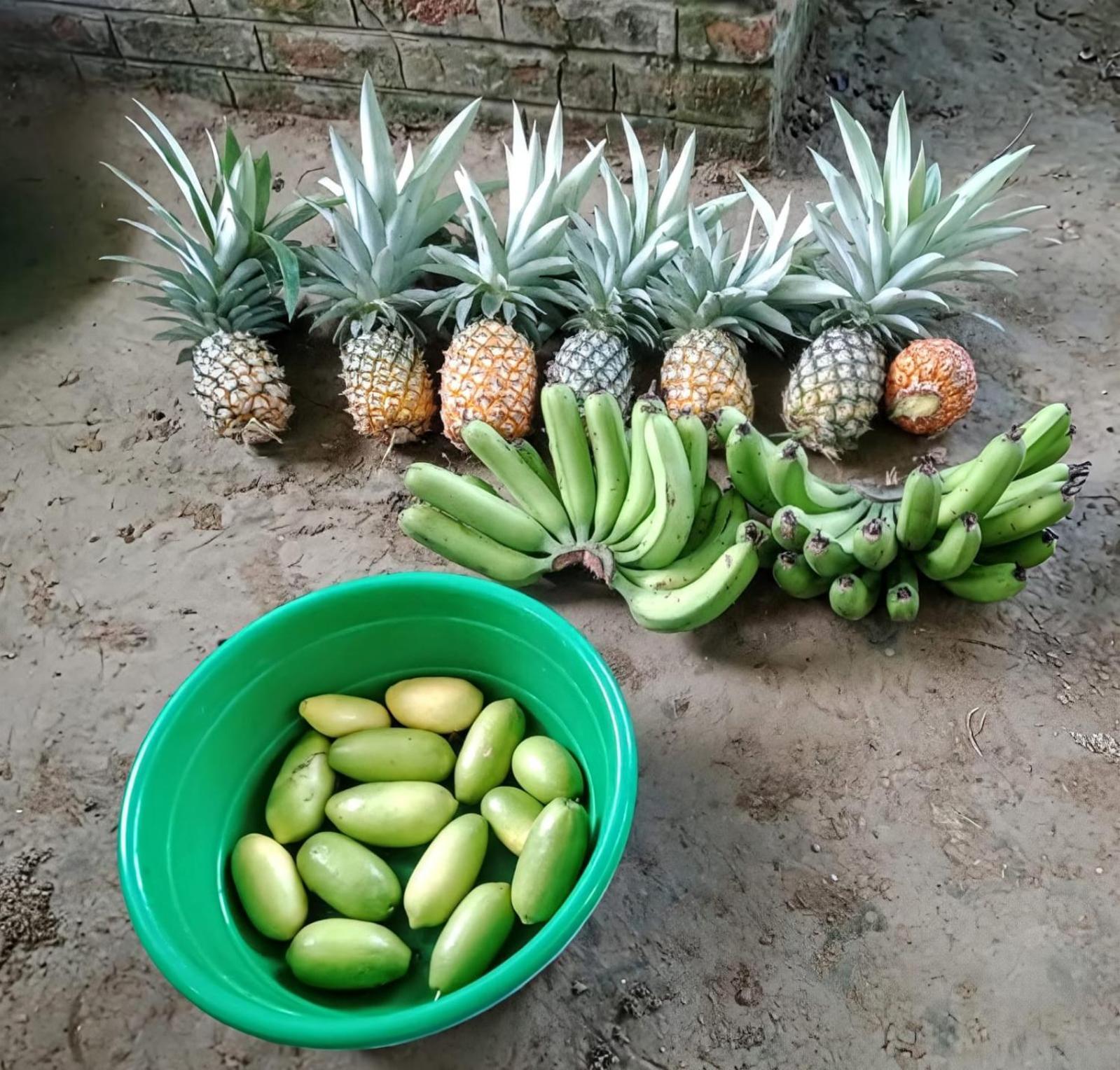 Bogibil Eco Resort New Dibrugarh Esterno foto
