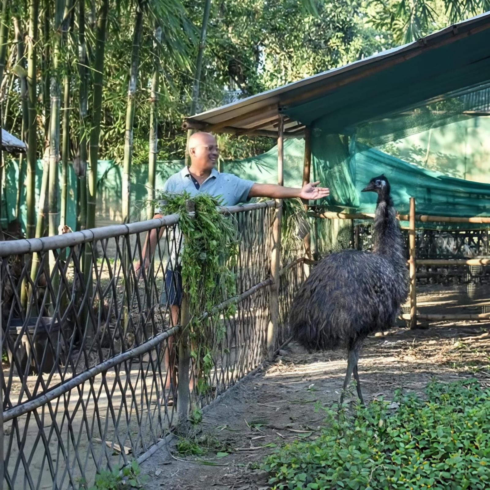 Bogibil Eco Resort New Dibrugarh Esterno foto